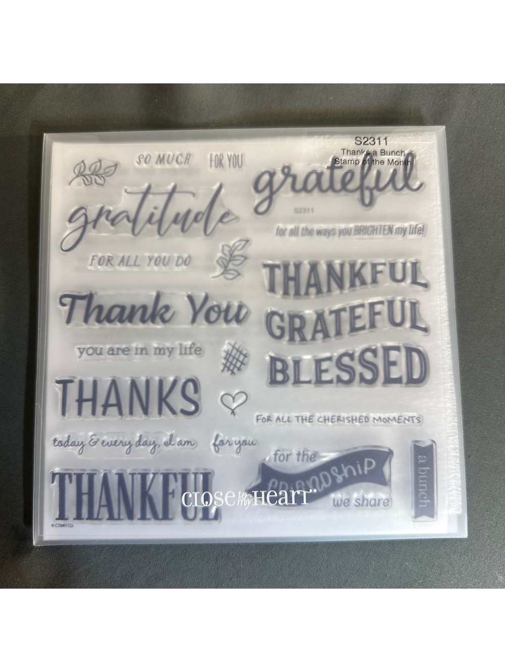Close To My Heart Thanks A Bunch S2311 Acrylic Stamp Set